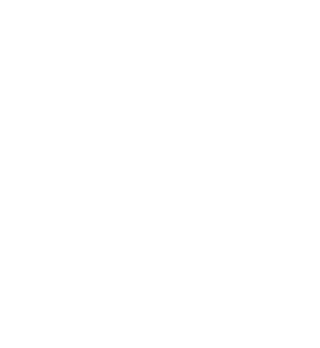 Biki Institut